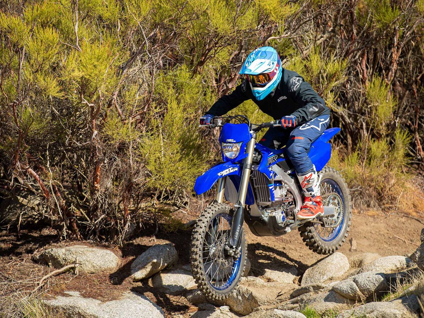 2021 deals wr 250